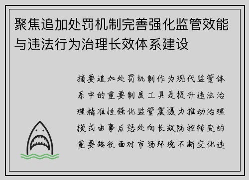 聚焦追加处罚机制完善强化监管效能与违法行为治理长效体系建设